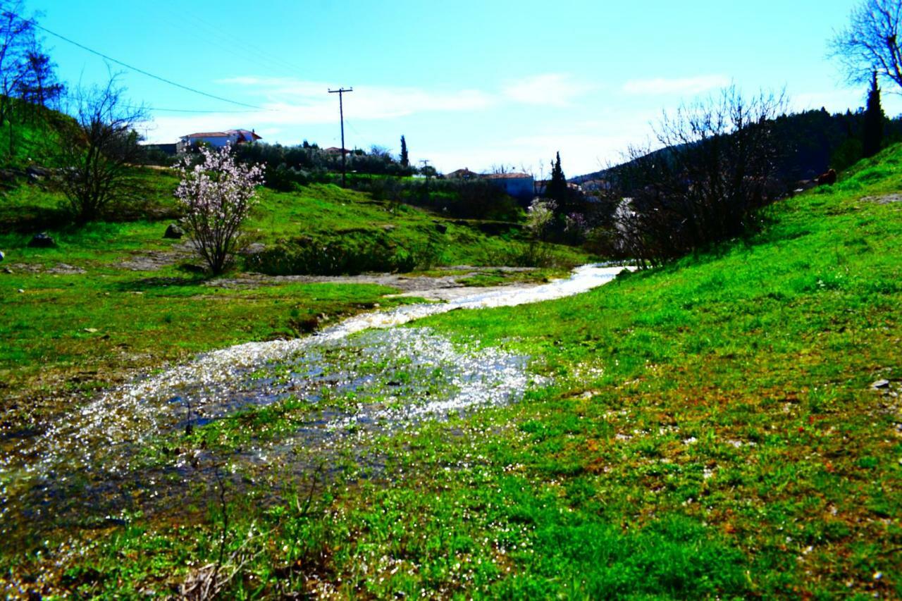 Villa Oasis Of Calmnessε Ardani Exterior foto